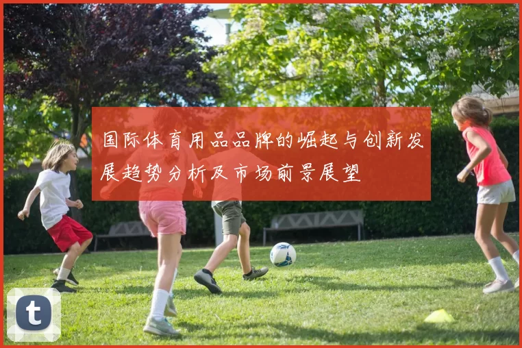 国际体育用品品牌的崛起与创新发展趋势分析及市场前景展望